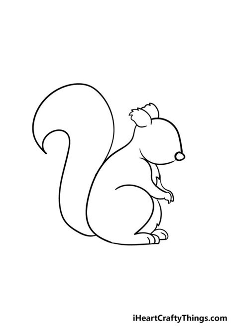 Squirrel Drawing How To Draw A Squirrel Step By Step