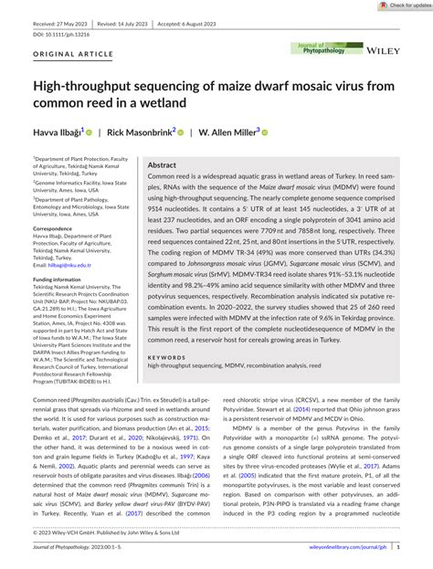 Pdf High Throughput Sequencing Of Maize Dwarf Mosaic Virus From