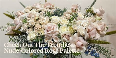 7 Stunning Nude Colored Roses Article OnThursd