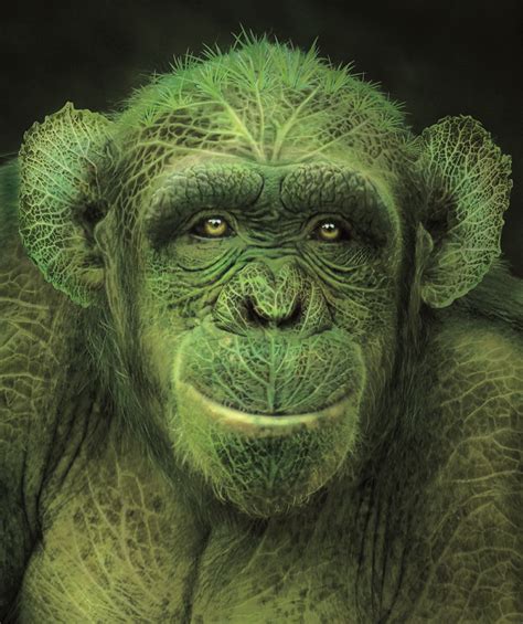 A Green Monkey With Leaves On Its Face