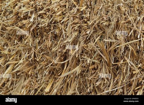 Straw Stacks Farming Backgrounds And Textures Stock Photo Alamy