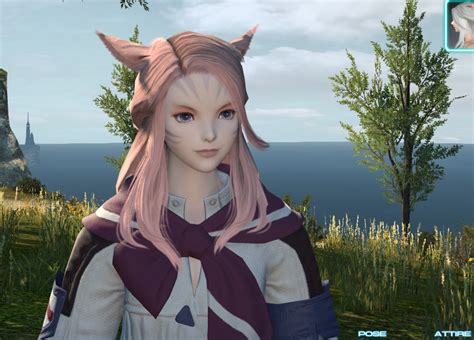 All players will begin at level 61, and only by fighting the enemies within will they be able to gain the strength and experience needed to explore its heights. Sahja T'ayuun Blog Entry `New Patch, New Hair (Patch 2.3)` | FINAL FANTASY XIV, The Lodestone