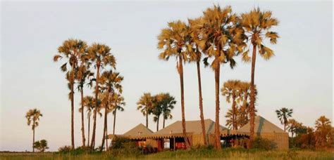 Five Of The Most Glamorous Lodges In Botswana Discover Africa Safaris