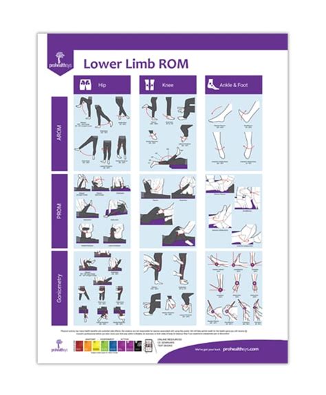 Lower Limb Rom Poster Prohealthsys