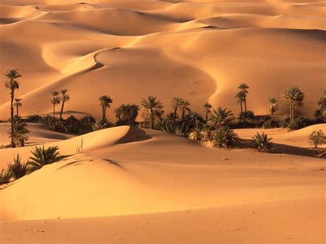 Desert Background Pictures 63 Images