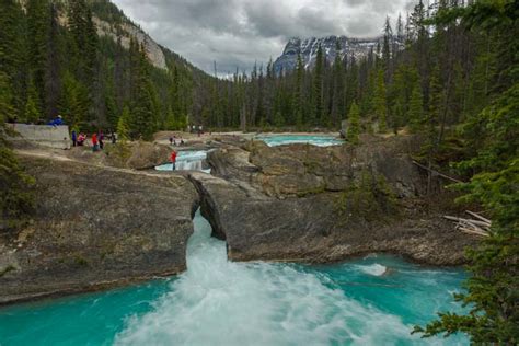 Yoho National Park Emerald Lake And Natural Bridge Aqua Magic