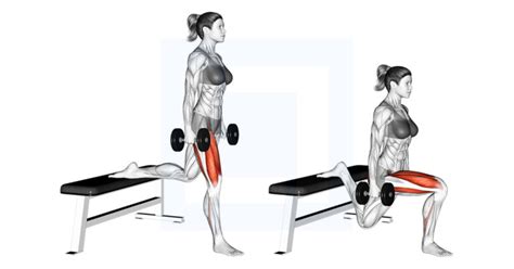 Dumbbell Bulgarian Split Squat Guide Benefits And Form