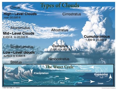 The Store - TYPES OF CLOUDS CHART - Stationery - The Store