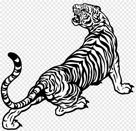 Tigre blanco dibujo blanco y negro tigre blanco mamífero animales