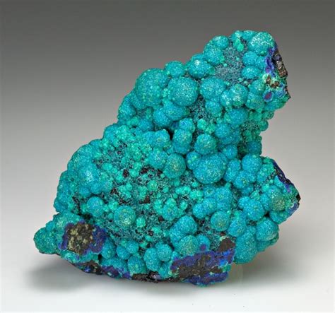 Chrysocolla With Azurite Minerals For Sale 1257887