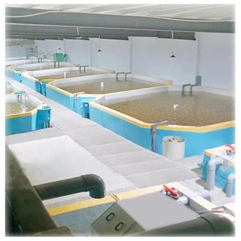 Intensive Recirculating Aquaculture Systems And Ras System Equipment