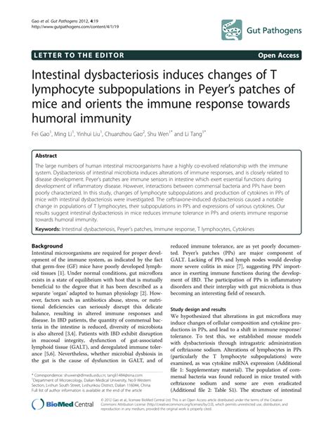 Pdf Intestinal Dysbacteriosis Induces Changes Of T Lymphocyte