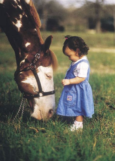 Children and alison schumer : Safety Rules for Kids Around Horses - Expert advice on ...