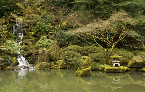 Wallpaper Trees Pond Stones Waterfall Moss Garden Usa The Bushes