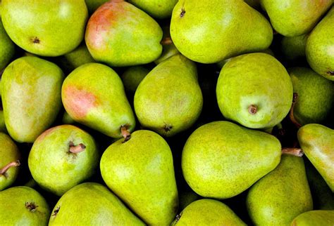 wapa releases apple and pear stock figures for july hortweek