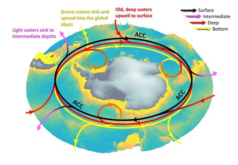 Schematic Of The Three Dimensional Circulation Of The Southern Ocean