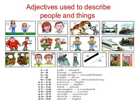 Adjectives Used To Describe Teens First Butt Sex Free Nude Porn Photos