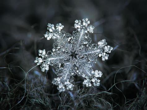 Snowflake Photography By Alexey Kljatov Rscientificart