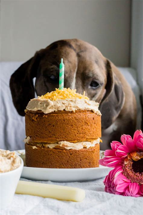 661 Best Happy Birthday Doggie Images On Pinterest