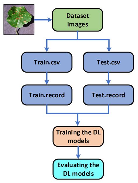 A Review Of Plant Leaf Disease Detection And Classification Based On