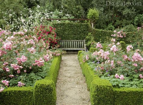45 Beauty Rose Garden Pictures Home Decor And Garden Ideas