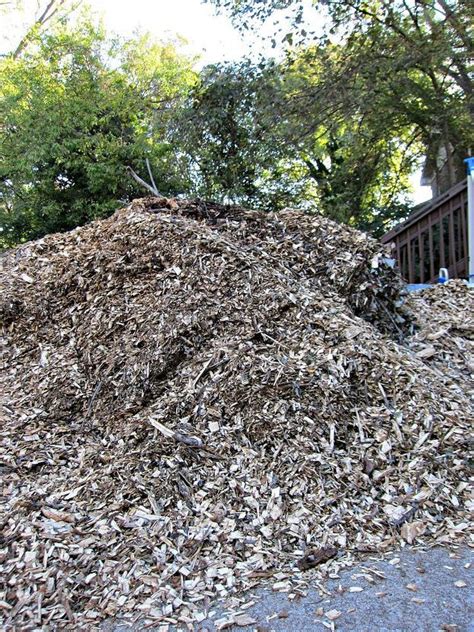 Arborist wood chips are an ideal source for mulch. Where to Get FREE Material for Landscaping Yard | Garden ...