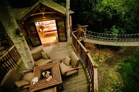 Interior Design In Treehouse Construction A Few Basic Principles