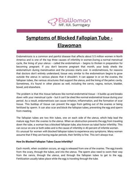 Ppt Fallopian Tube Cancer Symptoms Diagnosis And Treatment