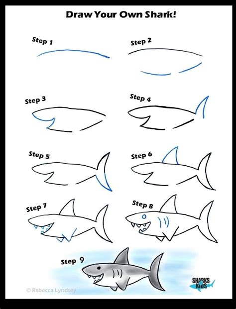 How To Draw A Shark In 9 Steps Rcoolguides