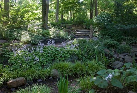 Chanticleer Garden- Asian Woods Garden | Garden in the woods, Shade garden, Garden design