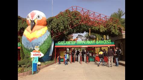 Hayvanat bahçesi'nde türkiye'nin ilk safari parkının açılışı 2015 yılı 23 nisan'da yapılmıştır. Gaziantep Hayvanat Bahçesi Gezisi -1 - YouTube