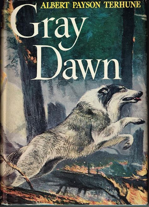 Gray Dawn Terhune Albert Payson Books