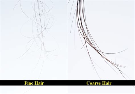 Fine Hair Vs Coarse Hair How To Tell The Difference Hairstylecamp