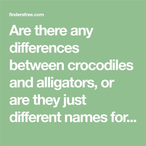 Are There Any Differences Between Crocodiles And Alligators Or Are