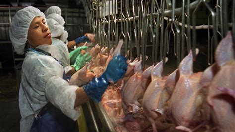 Tyson Foods Promises Better Conditions And Safety For Meat Workers
