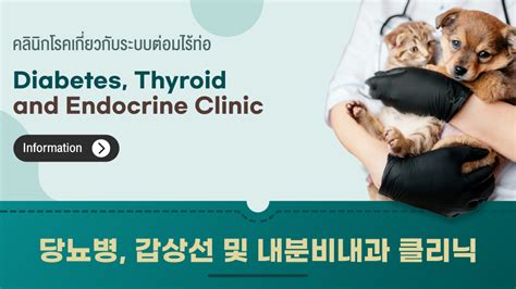 Diabetes Thyroid And Endocrine Happy Pet Hospital