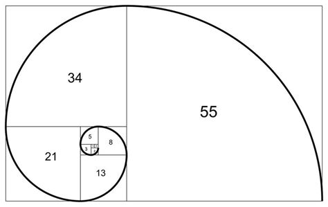 How Are Fibonacci Numbers Expressed In Nature Factsandhistory