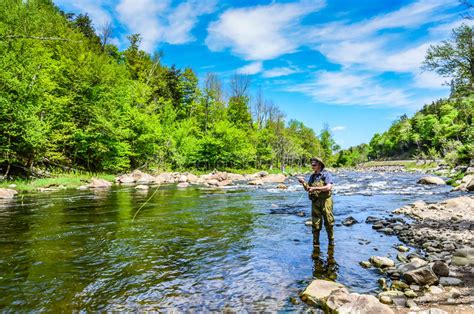 Trout Stream In The Adirondack Mountains Of New York Stock Image