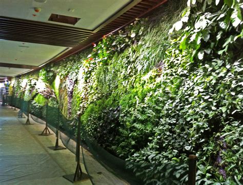 Sofitel Palm Jumeirah Dubai Mur Vegetal Patrick Blanc Palm Jumeirah