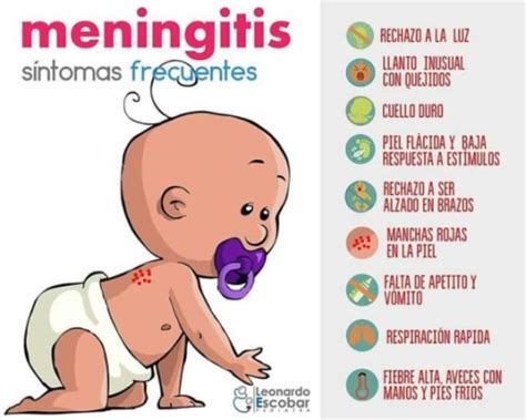 Dislocación Perder Disfraz Señales De Meningitis En Bebes Patrón