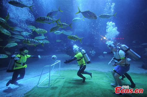 Underwater Football Match Held At Polar Ocean World 36 Headlines