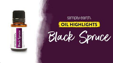 Black Spruce Essential Oil Youtube
