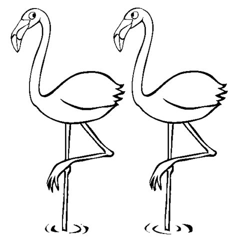 Desenho De Flamingos Parados Para Colorir Tudodesenhos