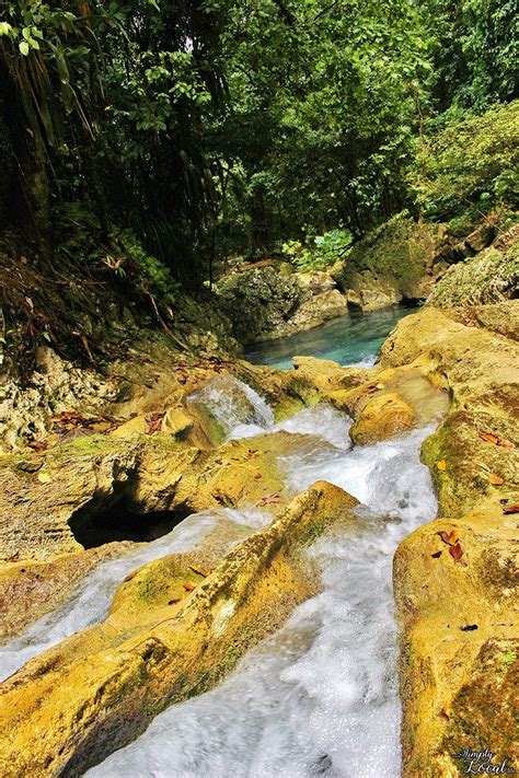 Reach Falls Jamaica Explore All Aspects Simply Local Jamaica Travel Globe Places To Travel