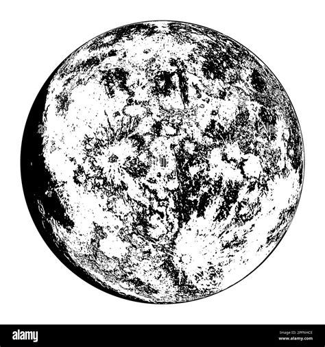 Detailed Moon Illustration On White Background Vector Illustration
