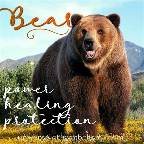 Bear Symbolism And Bear Meaning Bear Spirit Animal Myth Legend And Lore