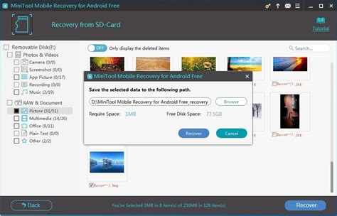 We did not find results for: How Do You Recover Files from Formatted SD Card Android?
