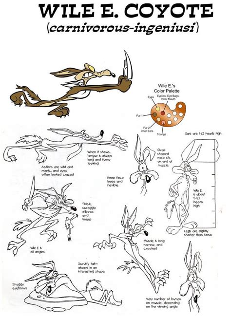 Wile E Coyote Model Sheet By Guibor On Deviantart In 2020 Coyote