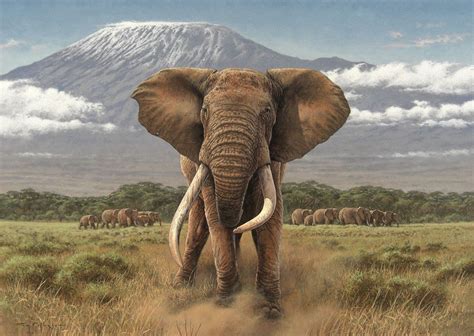 Artstation African Giants Fuz Caforio Wildlife Paintings Wildlife
