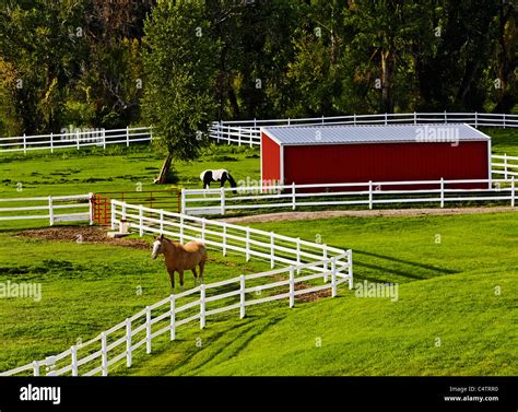 Barn Outdoors Equine Hi Res Stock Photography And Images Alamy